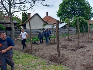 Szociális farm