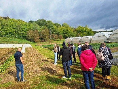 Szociális Farm