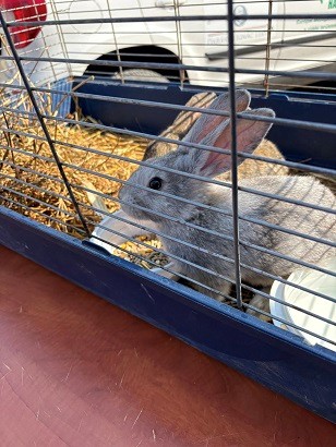 Szemléletformálás