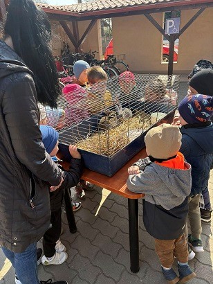 Szemléletformálás