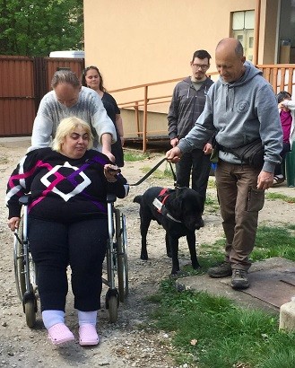 Kutyás bemutató