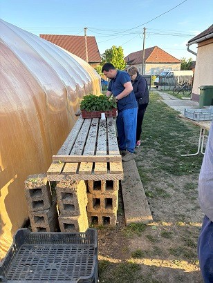Szociális farm