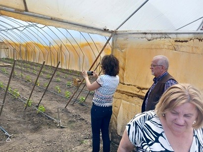 Szociális Farm