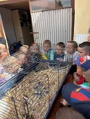 Szemléletformálás