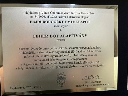 Városnapi kitüntetés