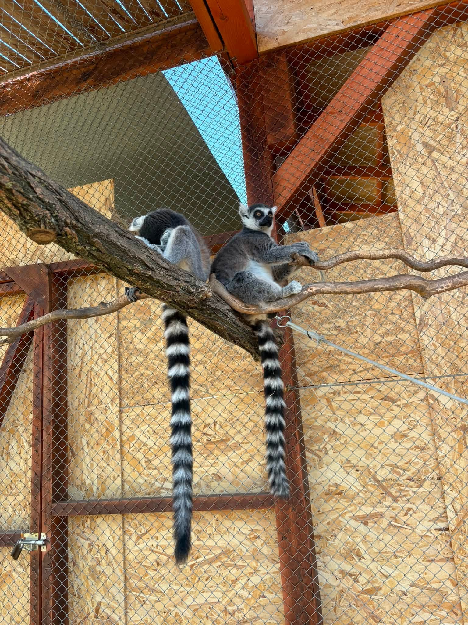 Kirándulás
