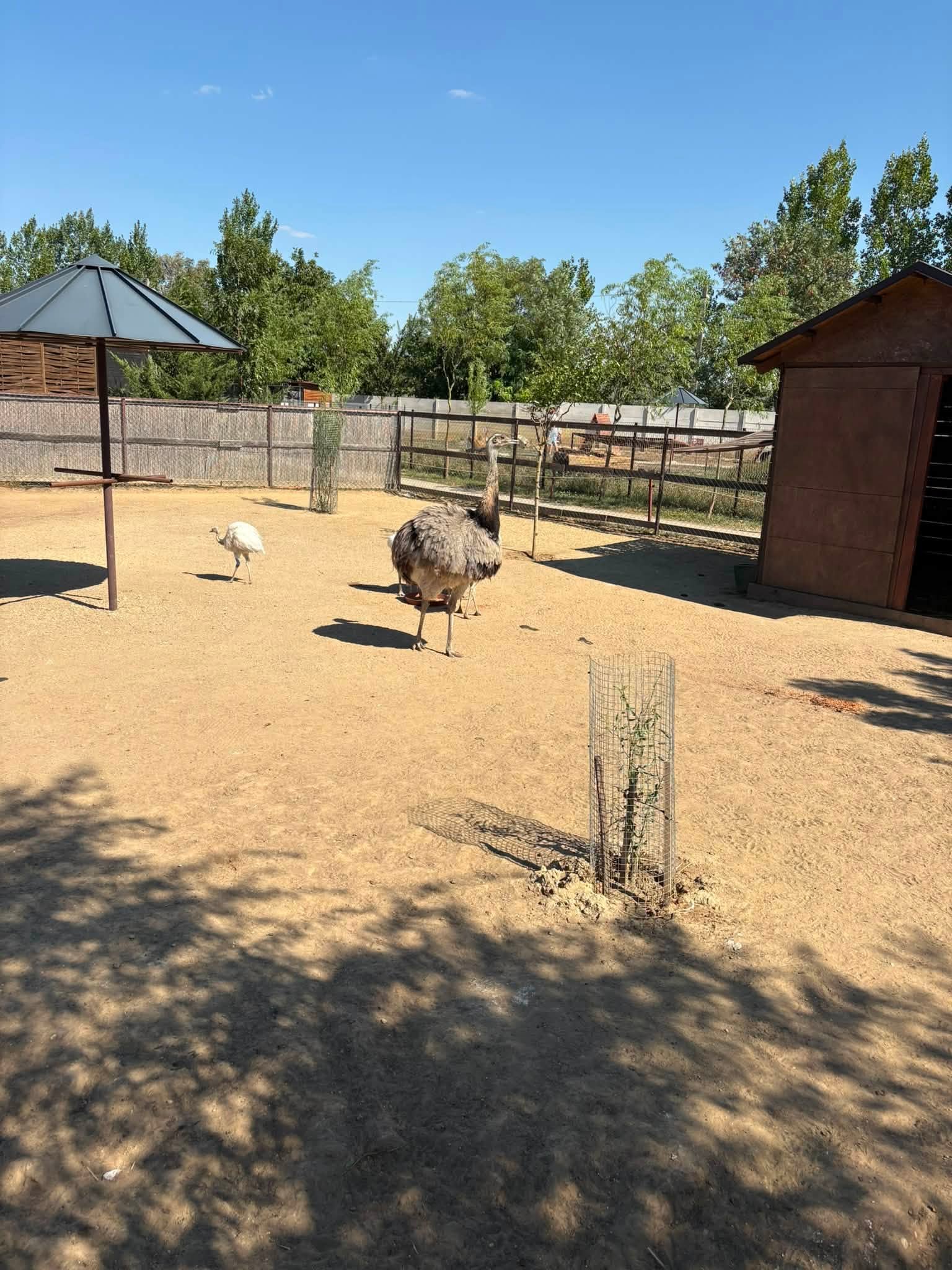 Kirándulás