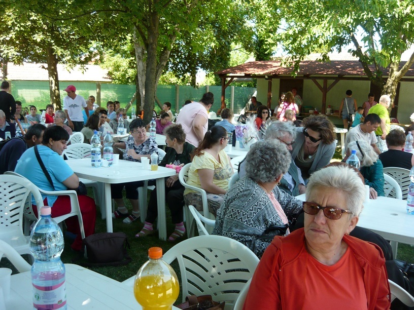 Esélyegyenlőségi nap